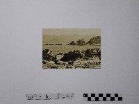 藏品(黃則修攝野柳地景)的圖片