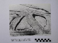 藏品(黃則修攝野柳地景)的圖片