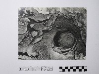 藏品(黃則修攝野柳地景)的圖片