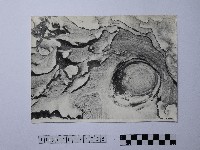 藏品(黃則修攝野柳地景)的圖片