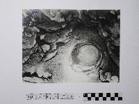 藏品(黃則修攝野柳地景)的圖片