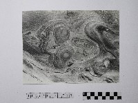 藏品(黃則修攝野柳地景)的圖片