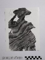 藏品(黃則修攝野柳地景風化紋)的圖片