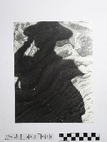 藏品(黃則修攝野柳地景風化紋)的圖片