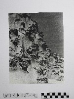 藏品(黃則修攝野柳地景)的圖片