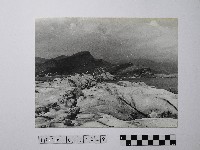 藏品(黃則修攝野柳地景)的圖片