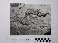 藏品(黃則修攝野柳地景)的圖片