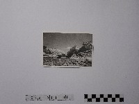 藏品(黃則修攝野柳地景)的圖片