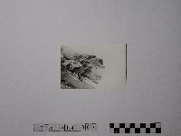 藏品(黃則修攝野柳地景)的圖片