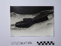 藏品(黃則修攝野柳地景仙女鞋)的圖片