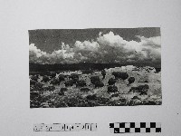 藏品(黃則修攝野柳地景)的圖片