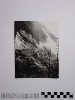 藏品(黃則修攝巴士)的圖片