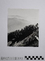 藏品(黃則修攝高山風情)的圖片