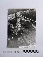 藏品(黃則修攝持融冰的手)的圖片