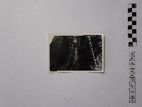 藏品(黃則修攝佳陽舊部落)的圖片