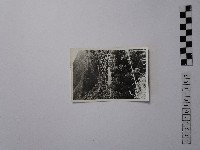 藏品(黃則修攝佳陽舊部落)的圖片