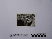 藏品(黃則修攝由屋頂俯瞰地面的照片)的圖片