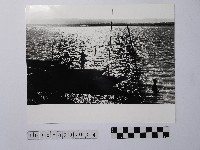 藏品(黃則修攝收工的船夫)的圖片