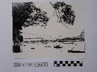 藏品(黃則修攝碧潭橋下游河)的圖片