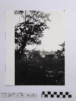 藏品(黃則修攝板橋林家)的圖片