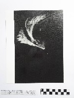 藏品(黃則修攝碧潭現代秀之濫觴)的圖片