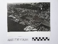 藏品(黃則修攝人山人海的岸邊)的圖片