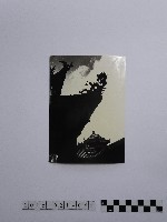 藏品(黃則修攝屋簷的龍飾)的圖片