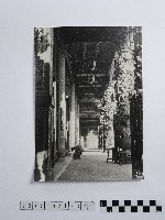 藏品(黃則修攝孩童)的圖片