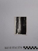 藏品(黃則修攝男子)的圖片