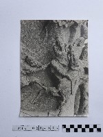 藏品(黃則修攝石雕)的圖片