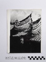 藏品(黃則修攝屋頂)的圖片