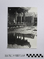 藏品(黃則修攝倒影)的圖片