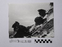 藏品(黃則修攝野柳地景)的圖片