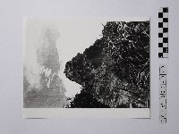 藏品(黃則修攝野柳地景)的圖片