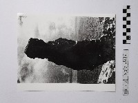 藏品(黃則修攝野柳地景)的圖片