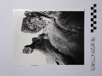 藏品(黃則修攝野柳地景)的圖片