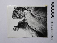 藏品(黃則修攝野柳地景)的圖片