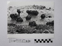 藏品(黃則修攝野柳地景)的圖片