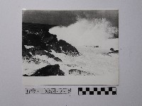 藏品(黃則修攝野柳地景)的圖片