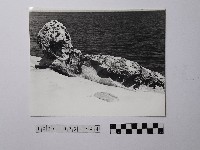 藏品(黃則修攝野柳地景)的圖片