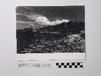 藏品(黃則修攝野柳地景)的圖片