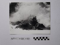 藏品(黃則修攝野柳地景)的圖片