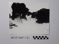 藏品(黃則修攝野柳地景)的圖片