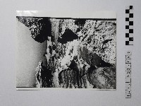 藏品(黃則修攝野柳地景)的圖片
