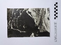 藏品(黃則修攝野柳地景)的圖片