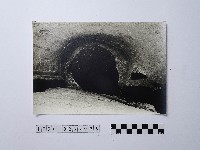 藏品(黃則修攝野柳地景)的圖片