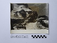 藏品(黃則修攝野柳地景)的圖片