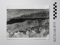 藏品(黃則修攝野柳地景)的圖片