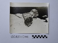 藏品(黃則修攝野柳地景)的圖片