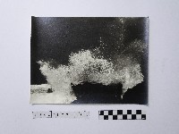 藏品(黃則修攝野柳地景)的圖片